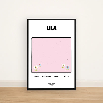 Affiche 40x60 + Cadre