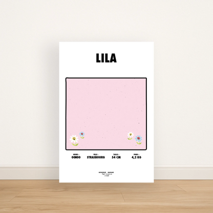 Affiche 40x60 Sans Cadre