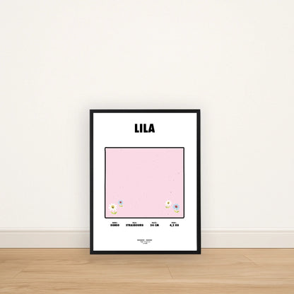 Affiche 30x40 + Cadre