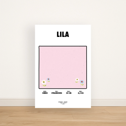 Affiche 40x60 Sans Cadre