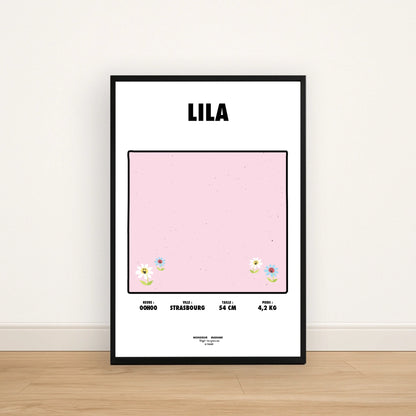 Affiche 40x60 + Cadre