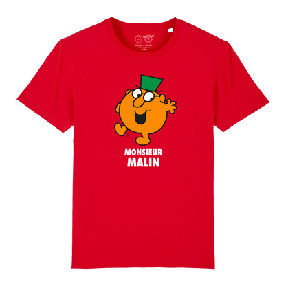 Garçon - Tshirt - Monsieur Malin - Monsieur Madame