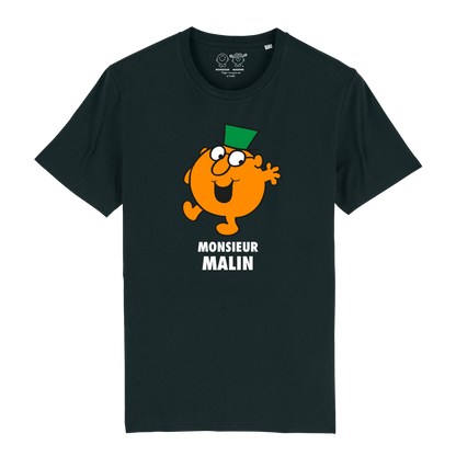 T-Shirt Homme Monsieur Malin Monsieur Madame