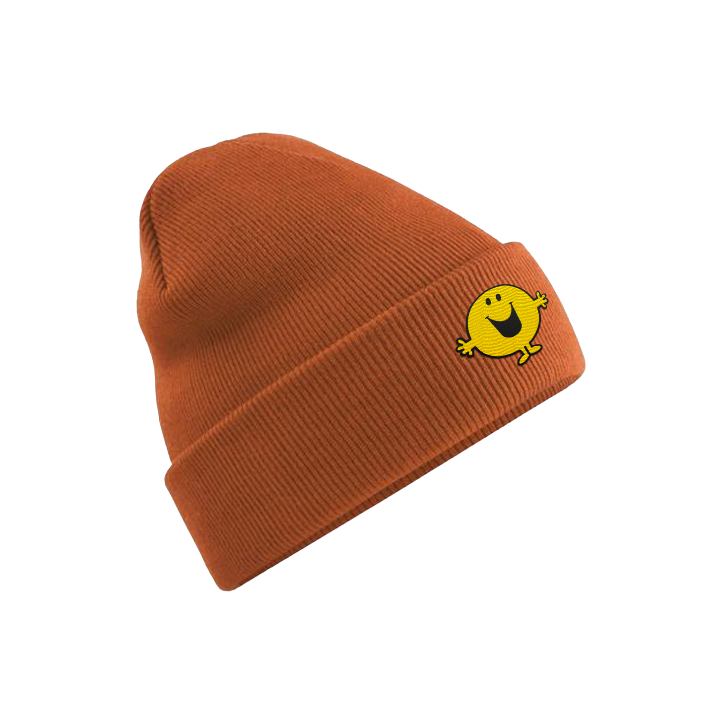 Bonnet brodé Monsieur Heureux vitrouille